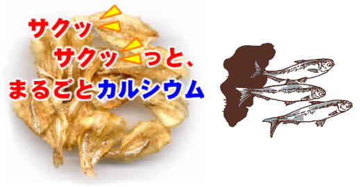 サクサクいわし