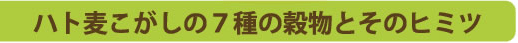 ハト麦こがしの7つの穀物とその秘密