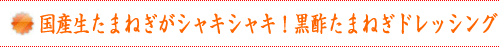 黒酢なまねぎドレッシング