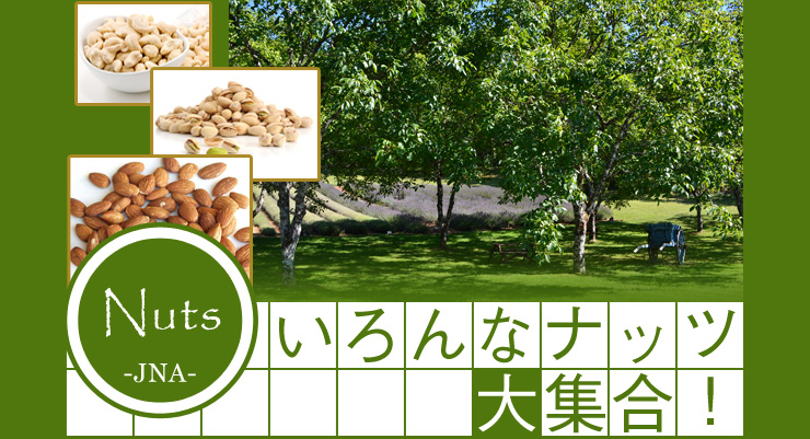 国産 あら挽ききなこ