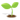 玄ハト麦茶の説明